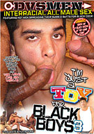 I'm Just A Toy For Black Boys 3