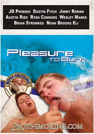 Pleasure To Burn