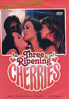 Three Ripening Cherries