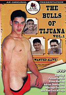 The Bulls Of Tijuana 1