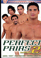Perfect Pairs 2
