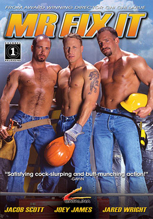 Mr. Fix It