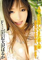 Desire 17: Haruka Oosawa (MUD-17)