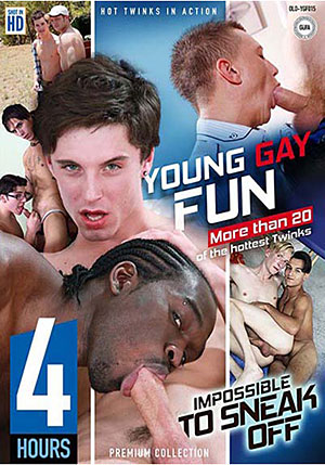Young Gay Fun 15: Impossible To Sneak Off