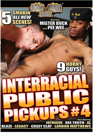 Interracial Public Pickups 4