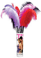Fetish Fantasy Series Love Plumes 12 Per Display - Display