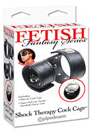 Fetish Fantasy Series Shock Therapy Cock Cage